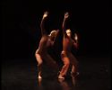 Vidéo - Insula Deserta, rushes jardin - Fonds Ingeborg Liptay - Compagnie Ici Maintenant - FANA Danse & Arts vivants