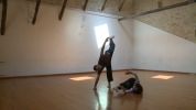 Vidéo - Insula Deserta (duo) ; Bird - Fonds Ingeborg Liptay - Compagnie Ici Maintenant - FANA Danse & Arts vivants