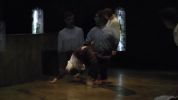 Vid&eacute;o - Dame de Pic/Cie Karine Ponties - Extraits de pi&egrave;ces - 12 mn - Version fran&ccedil;aise - Fonds Karine Ponties - Dame de Pic - FANA Danse & Arts vivants