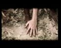Vidéo - Mains (Les) - Fonds Mark Tompkins - Cie I.D.A. - FANA Danse & Arts vivants
