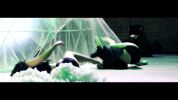 Vidéo - A l\'ouest - Saison Moondog Ep.4 - Fonds Olivia Grandville - Compagnie La Spirale de Caroline - FANA Danse & Arts vivants