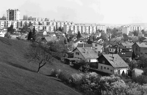 Rue Alexandre Ribot