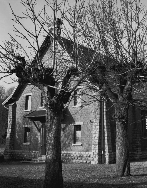 Église évangélique mennonite