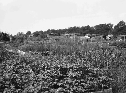 Jardins ouvriers