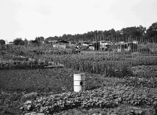 Jardins ouvriers