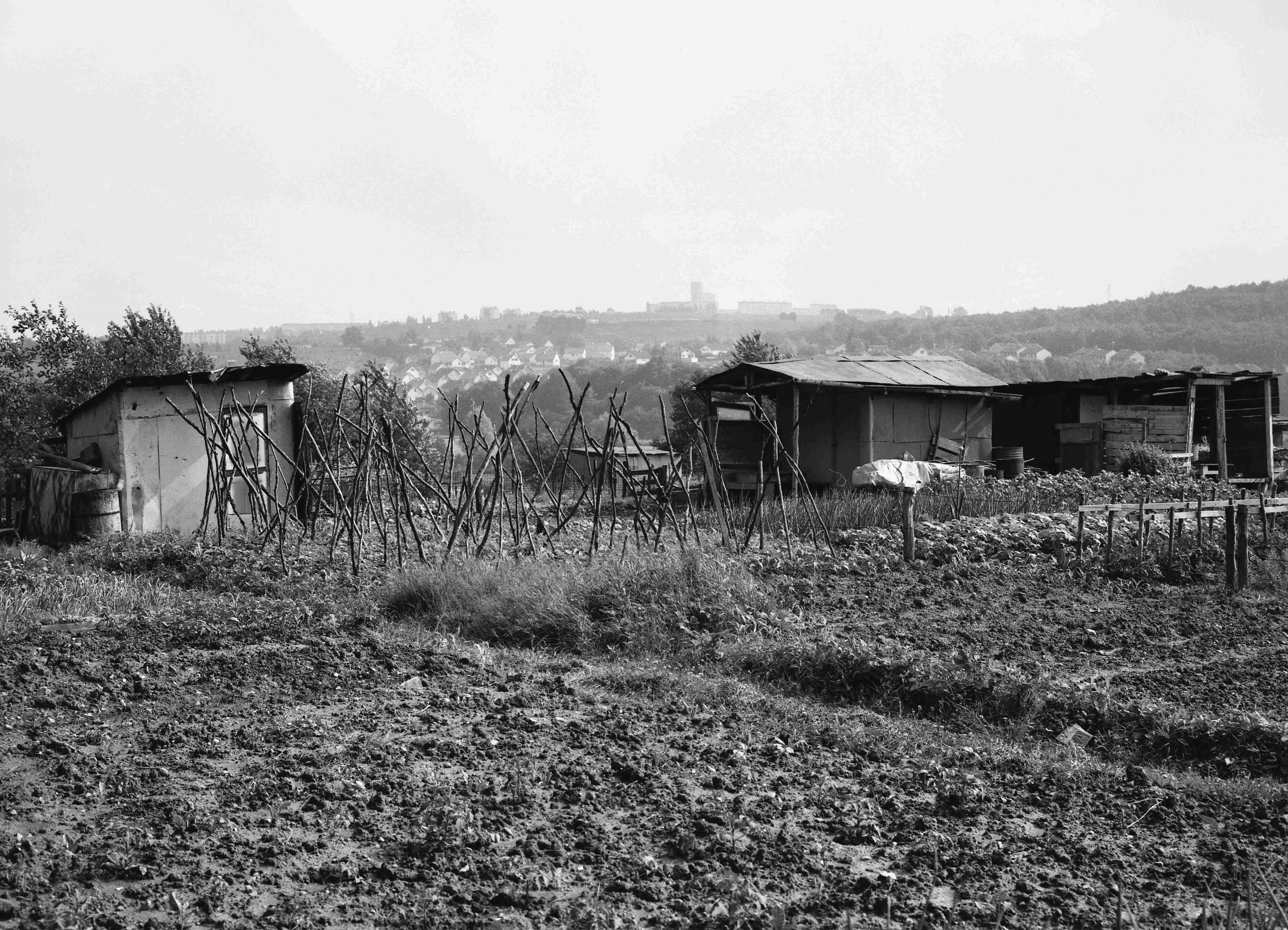 Jardins ouvriers